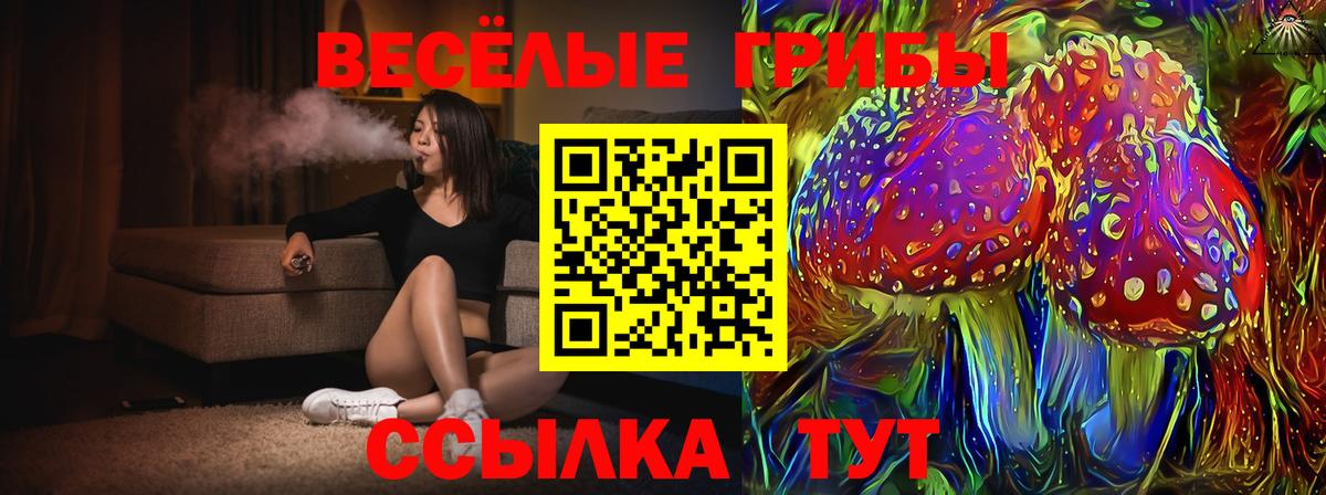 Галлюциногенные грибы Magic Shrooms  Вход с VPN  Псилоцибиновые грибы ЛСД  Ленинск-Кузнецкий 